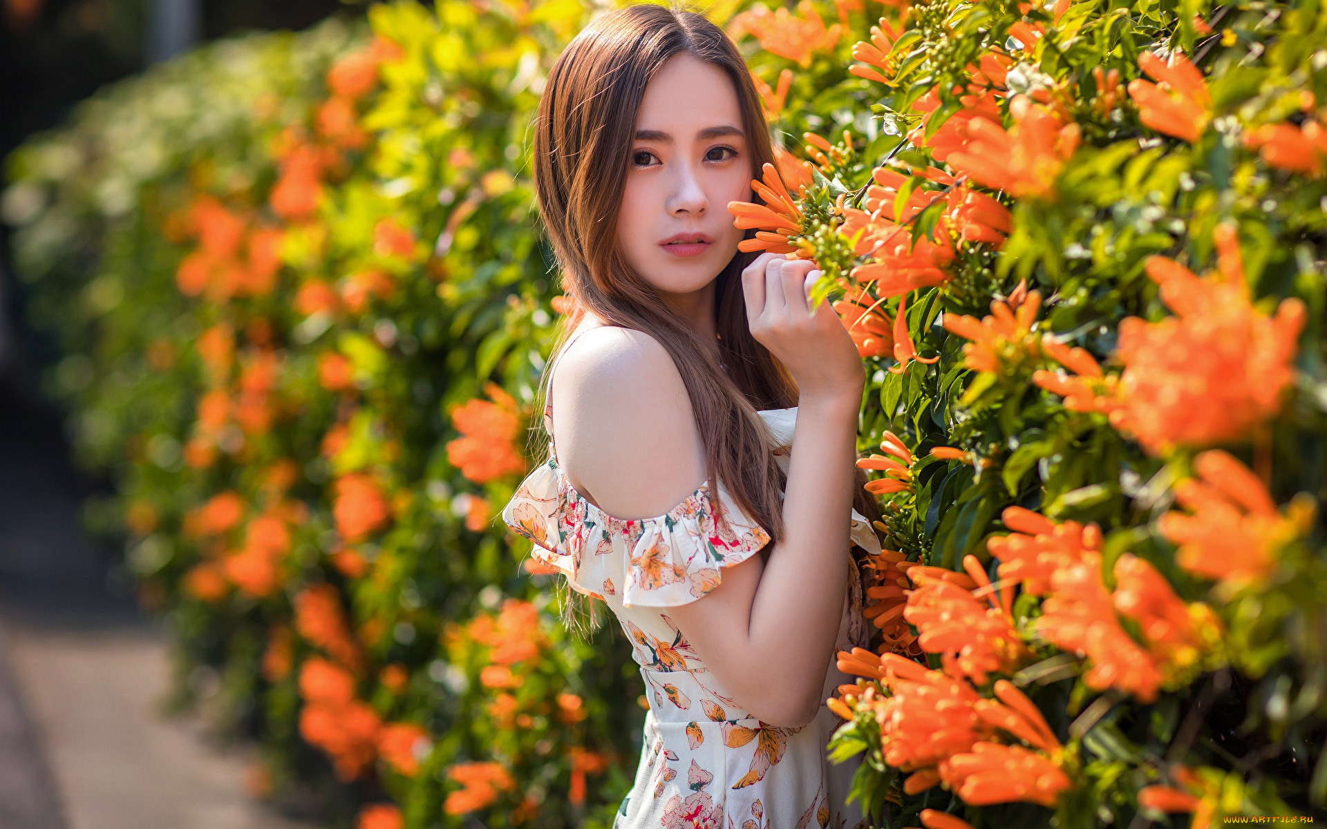 , - , , , 